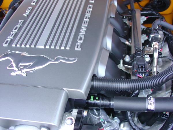 Here's pics of 2007 Orange GT from my Local Ford Dealership today 6/15/06-dsc03984.jpg