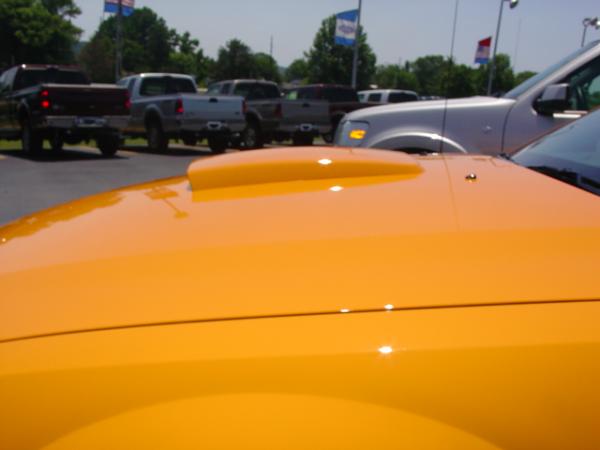 Here's pics of 2007 Orange GT from my Local Ford Dealership today 6/15/06-dsc03989.jpg