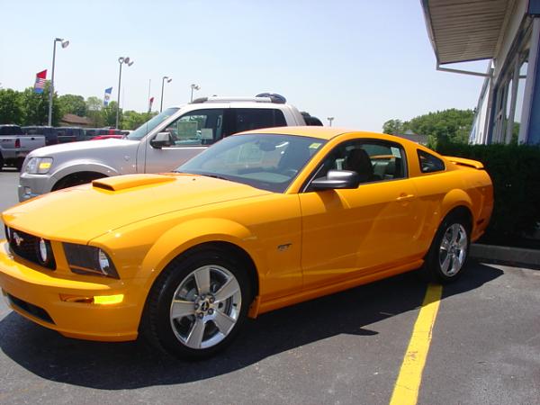 Here's pics of 2007 Orange GT from my Local Ford Dealership today 6/15/06-dsc03990.jpg