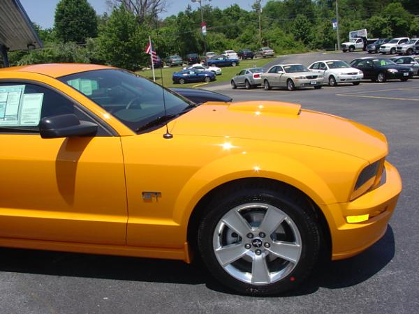 Here's pics of 2007 Orange GT from my Local Ford Dealership today 6/15/06-dsc04002.jpg