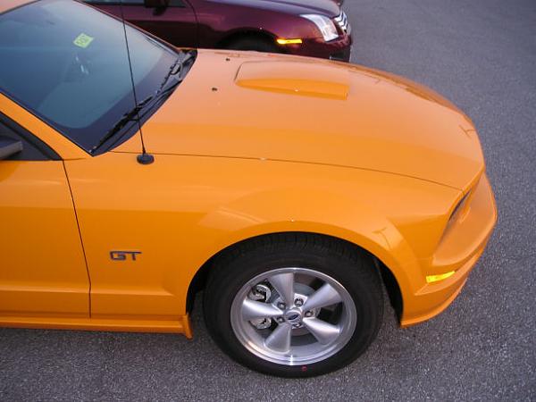More '07 Grabber Orange GT Photos - GT Appearance Package-p1010111_resize.jpg