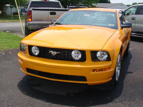 Here's pics of 2007 Orange GT from my Local Ford Dealership today 6/15/06-dsc04017.jpg