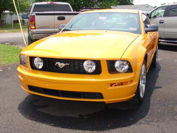 Here's pics of 2007 Orange GT from my Local Ford Dealership today 6/15/06-dsc04016.jpg