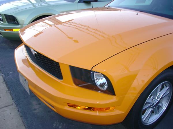 Here's pics of 2007 Orange GT from my Local Ford Dealership today 6/15/06-dsc04083.jpg