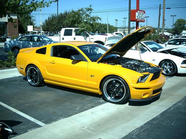 New grabber owner-picture-513.jpg