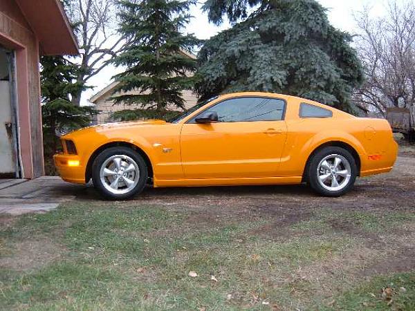 Getting my GO in a week!-mustang1.jpg