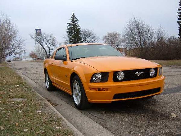 Getting my GO in a week!-mustang2.jpg