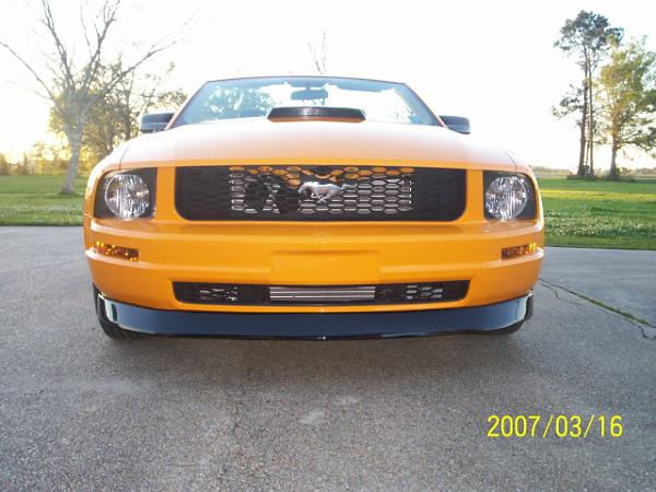 Just got my STANG back from the BodyShop-stang07-003.jpg