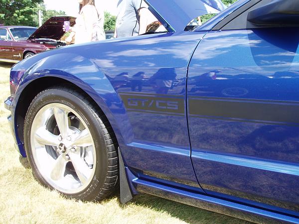 A winner !-mustang-013.jpg