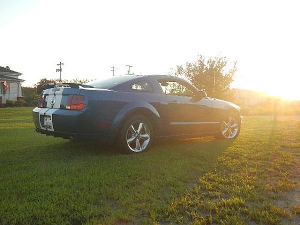 My First Mustang!!!-img_0421.jpg