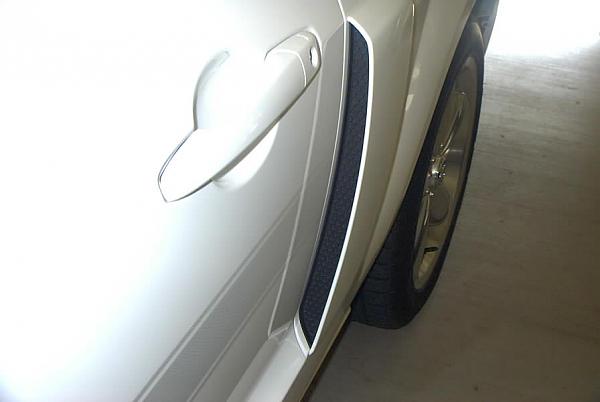 Can someone post some good closeup pics of the your GT-CS side scoops ?-pdrm0088.jpg