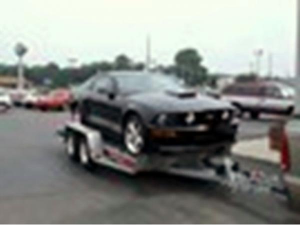 Oops, only one pic. of GT/CS-black-mustang2-001.jpg