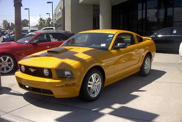 GT/CS now comes in Grabber Orange!!!-pdrm0116.jpg