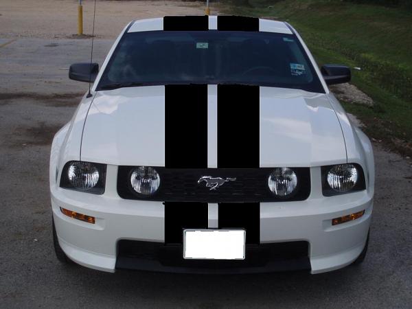 My 2007 GT/CS-cali-stripes-blank-license-plate.jpg