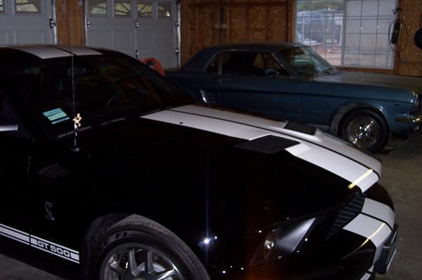 Goodbye GT/CS Hello Shelby GT 500-100_1590.jpg