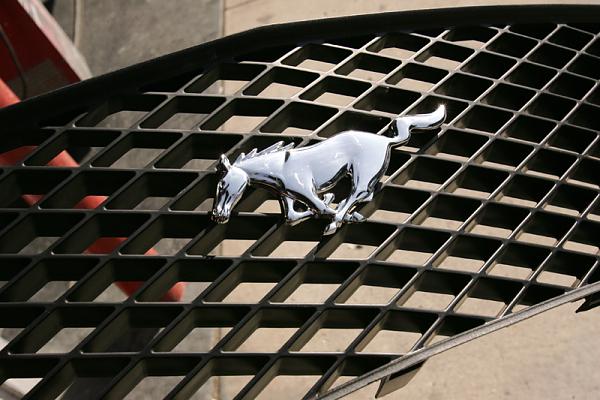 Just got my GT/CS!{ Legacy Post With Tons of Great Professional Pics By Owner!}-grill-front.jpg