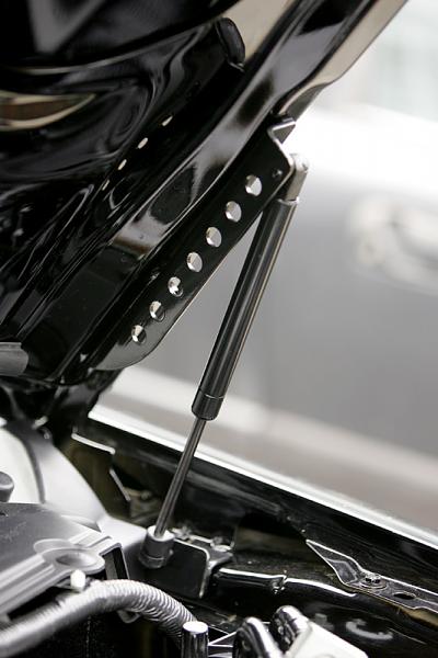 Just got my GT/CS!{ Legacy Post With Tons of Great Professional Pics By Owner!}-strut1.jpg