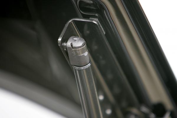 Just got my GT/CS!{ Legacy Post With Tons of Great Professional Pics By Owner!}-strut3.jpg
