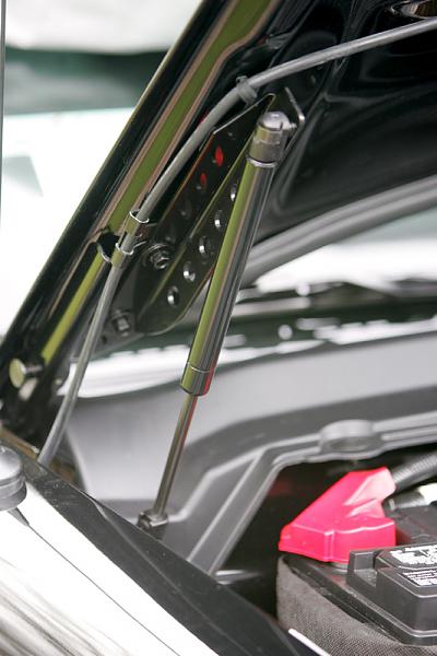 Just got my GT/CS!{ Legacy Post With Tons of Great Professional Pics By Owner!}-strut4.jpg