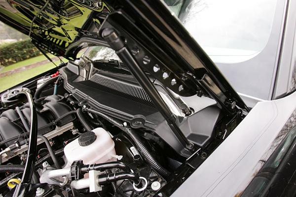Just got my GT/CS!{ Legacy Post With Tons of Great Professional Pics By Owner!}-strut8.jpg