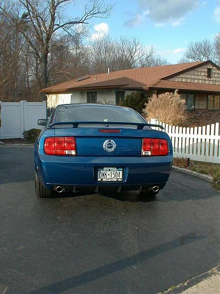 Black or Blue GT /CS-dp-backview.jpg