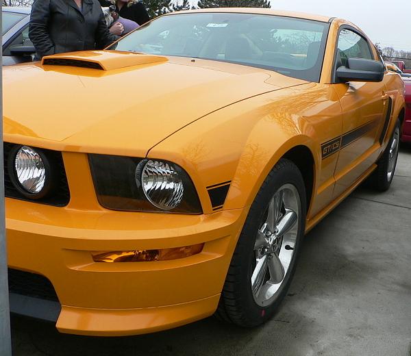 Anyone have a Grabber Orange GT/CS?-csohalfside.jpg