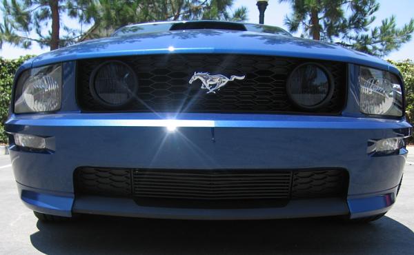 Lower Billet Grille for the GT/CS??-gtcs-003e.jpg