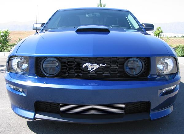 Lower Billet Grille for the GT/CS??-gtcs-065e.jpg