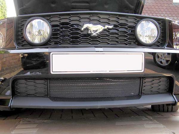 Lower Billet Grille for the GT/CS??-grill02.jpg