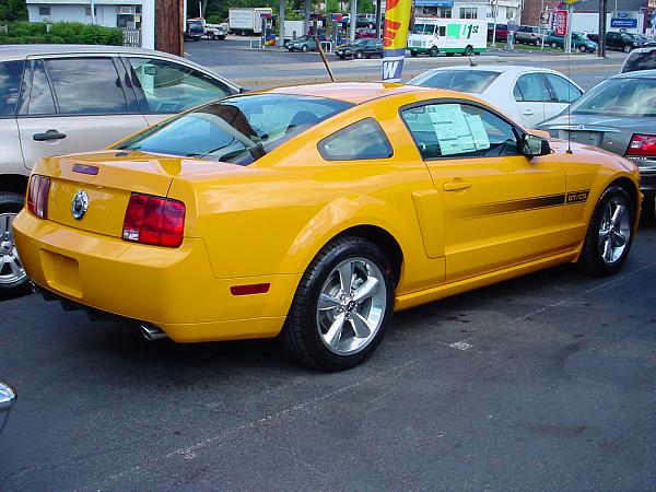 2008 Grabber Orange GT/CS with Spoiler Delete - Delivered-go_gtcsa.jpg