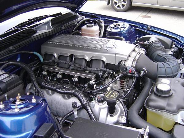 GOT IT!!! 2008 Vista Blue GT/CS-2008-mustang-gt-cs-9-27-07-018-thumbnail-.jpg