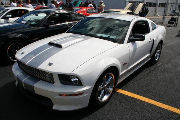 Need some photos. Anyone with a Performance White CS/Gt w/black or silver stripes.-white_silver.jpg