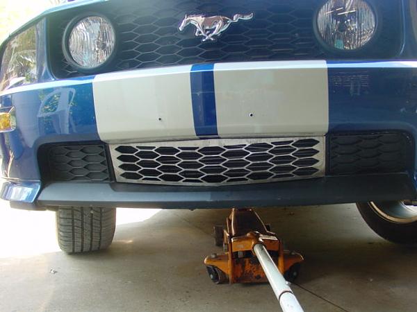 Lower Billet Grille for the GT/CS??-welts-013.jpg