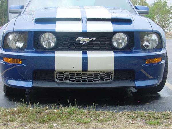 Lower Billet Grille for the GT/CS??-welts-018.jpg