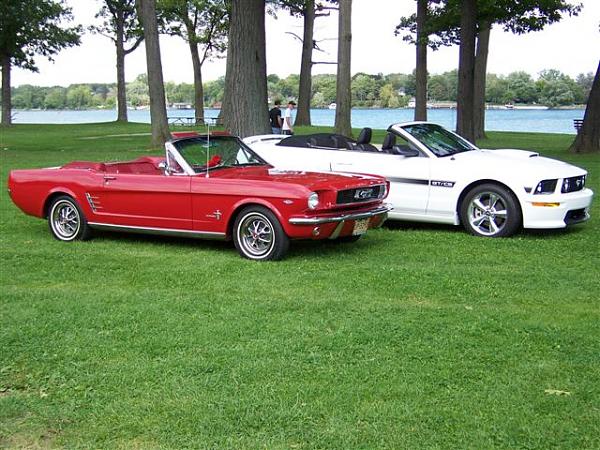 Mustang's run in the blood with me-picture-046.jpg