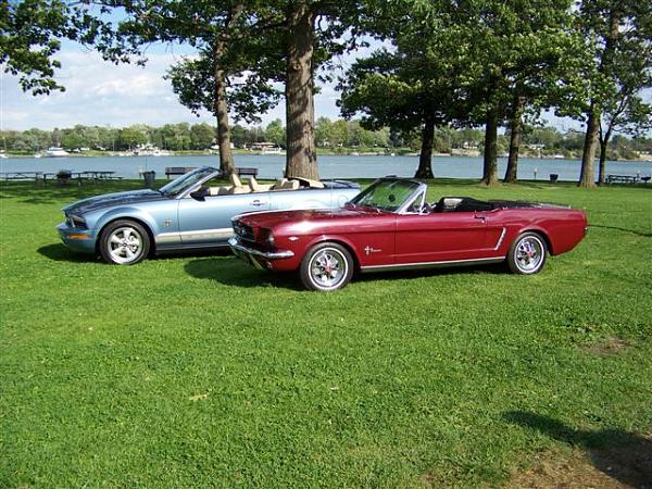 Mustang's run in the blood with me-picture-049.jpg