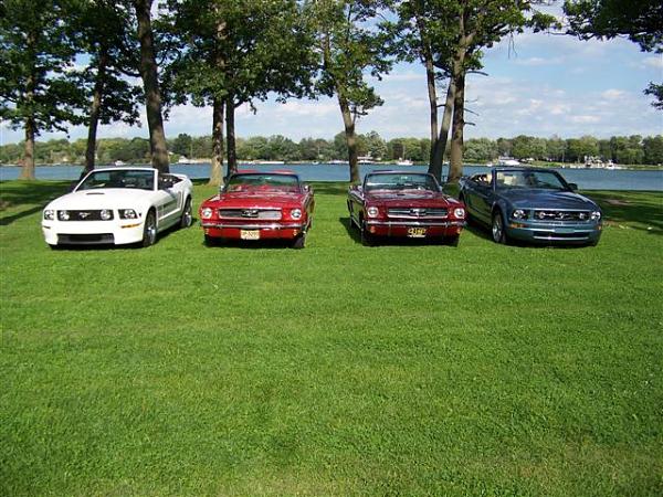 Mustang's run in the blood with me-picture-055.jpg