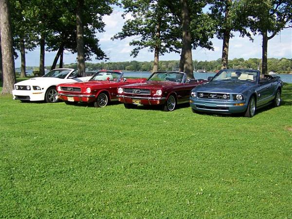 Mustang's run in the blood with me-picture-056.jpg