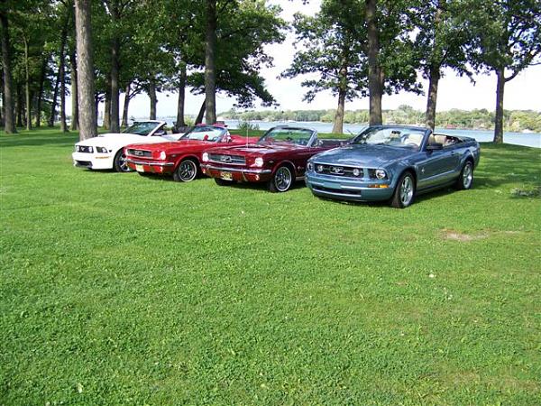 Mustang's run in the blood with me-picture-058.jpg