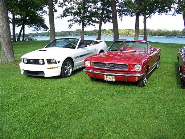 Mustang's run in the blood with me-picture-078.jpg
