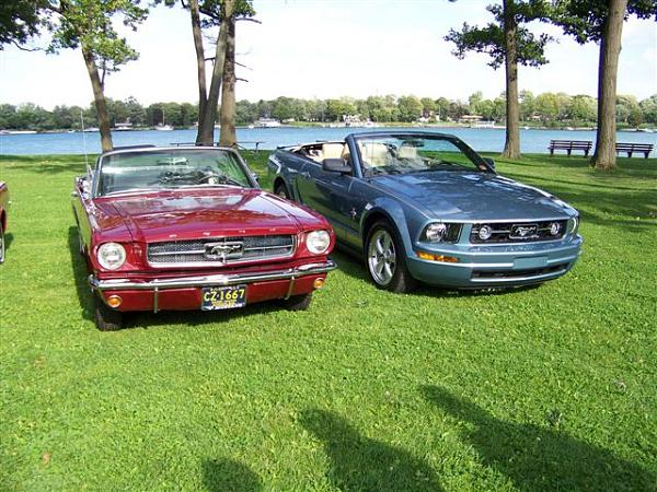 Mustang's run in the blood with me-picture-079.jpg