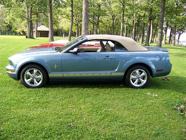 Mustang's run in the blood with me-picture-081.jpg