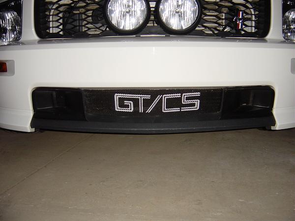 Lower Billet Grille for the GT/CS??-dsc00043.jpg