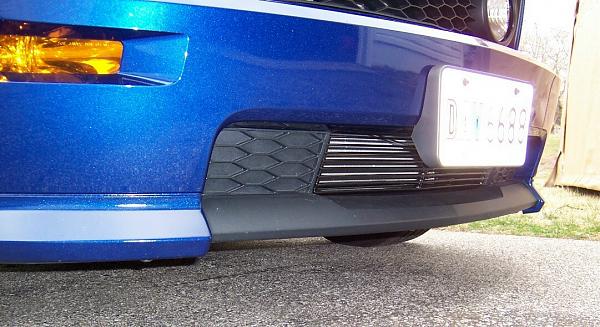 Lower Billet Grille for the GT/CS??-shelby.jpg
