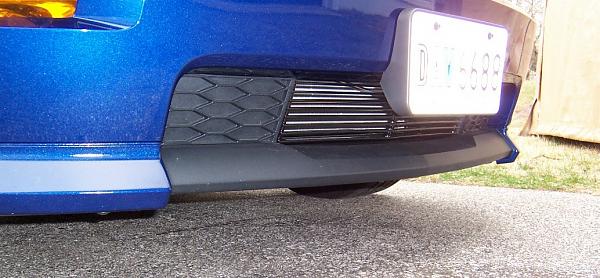 Lower Billet Grille for the GT/CS??-shelby1.jpg