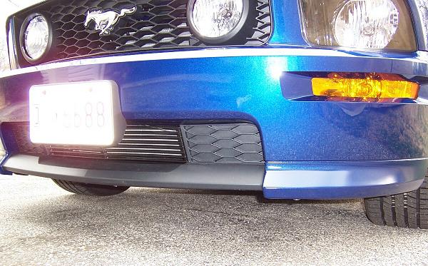Lower Billet Grille for the GT/CS??-shelby2.jpg