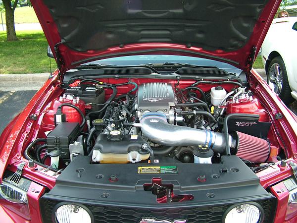 New to Site-dscf5652.jpg