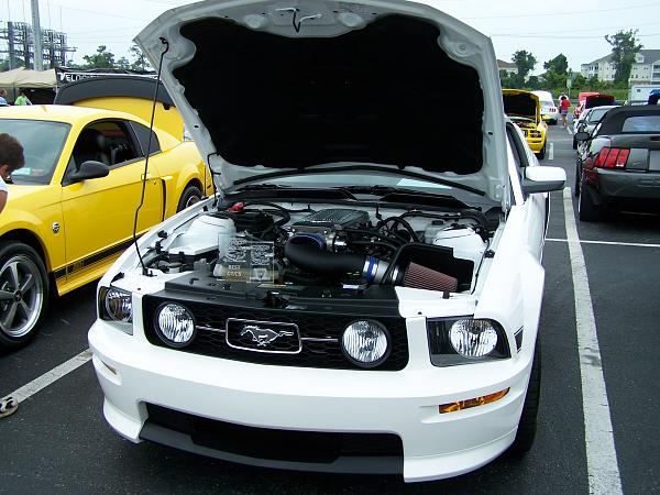 MUSTANG WEEK 2010-100_4864.jpg