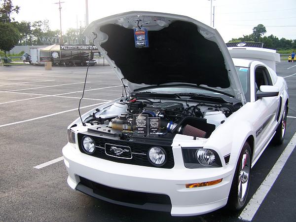 MUSTANG WEEK 2010-100_4848.jpg