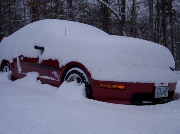 how much snow did you get-jansnow2110-001.jpg